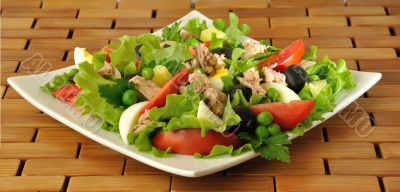 Vegetable salad with tuna and egg