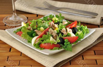 Vegetable salad with tuna and egg