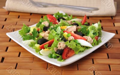 Vegetable salad with tuna and egg