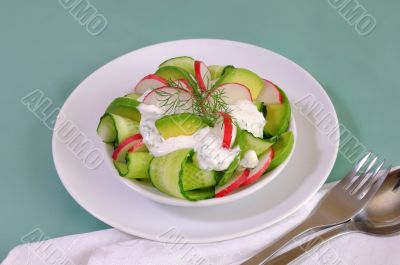 Cucumber salad with radish and avocado cream sauce