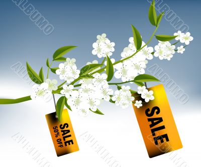 Sales and discount concept