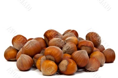 Handful of hazelnuts.