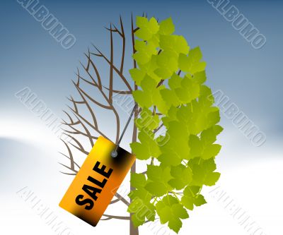 Sales and discount concept