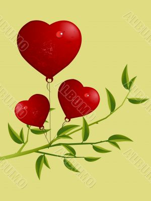 Valentine`s Day Concept