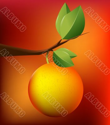 Orange