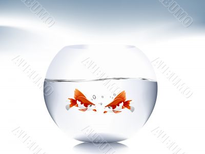  goldfish jumping 
