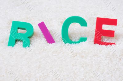 Rice concept