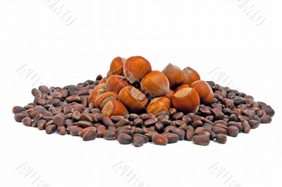 hazelnuts and pine nuts