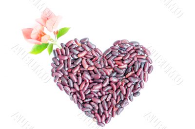 Heart shape made of beans