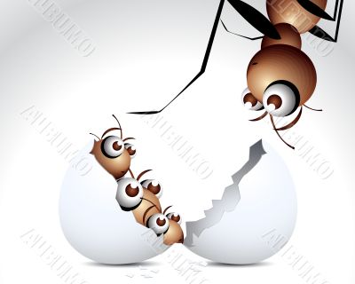 Antic Ant Character