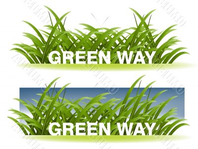  Ecology concept 