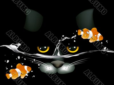 black cat looking at two clown fish