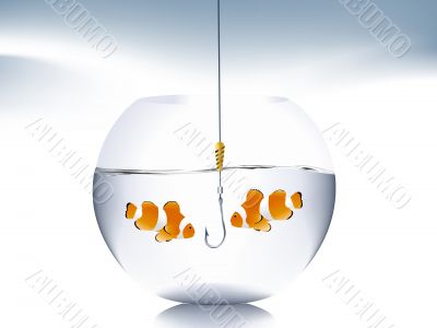  goldfish jumping 