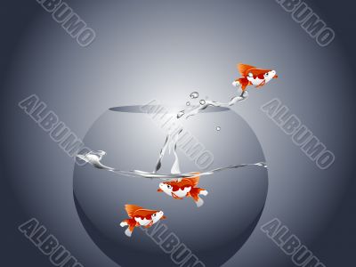  goldfish jumping 