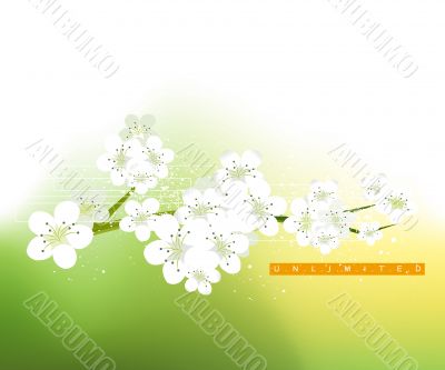 Abstract Illustration