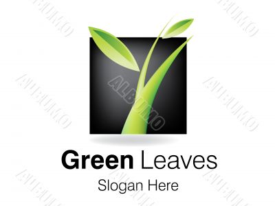Logo Design