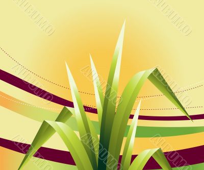 Abstract Background