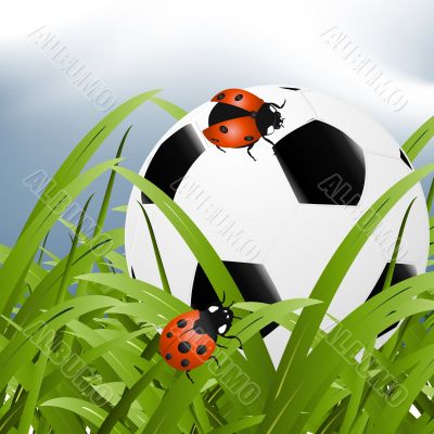 ball between grass