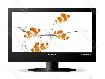 widescreen lcd monitor