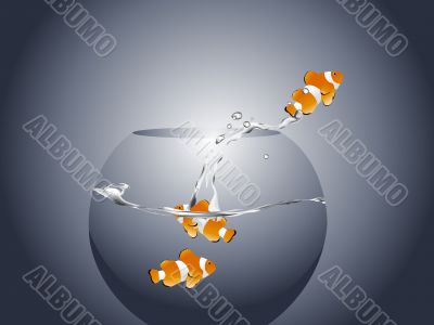  goldfish jumping 