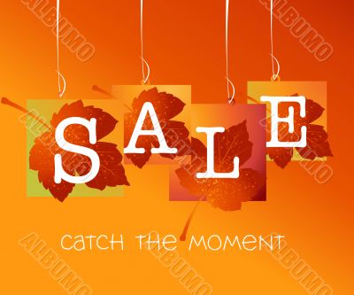 Sales and discount concept