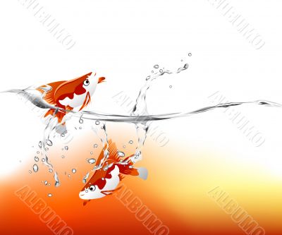  goldfish jumping 