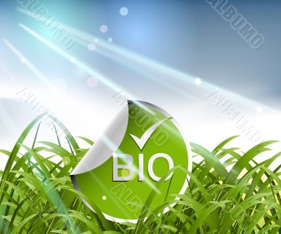 environmental Concept