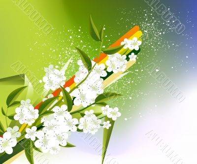 Abstract Background