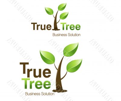 True Tree Logo