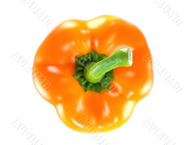 Orange bell pepper 