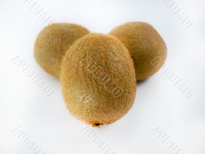 Fresh kiwi 