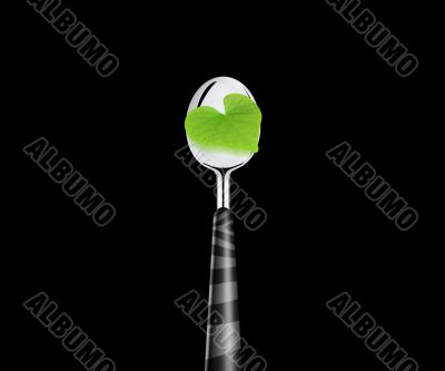 green leaf and spoon 