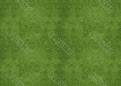 green grassland texture