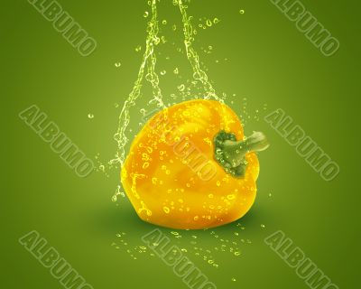 Fresh yellow bell pepper