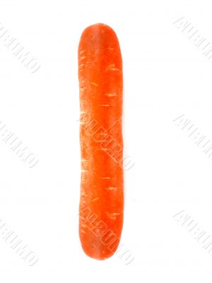 fresh orange carrot