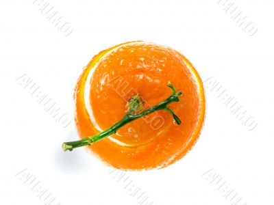 Peel of an orange