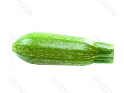 fresh zucchini fruits