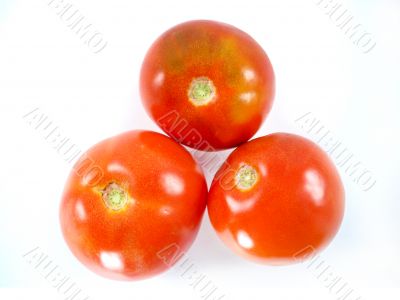Red tomatoes