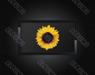 LCD panel