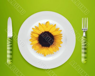 sunflower on plate