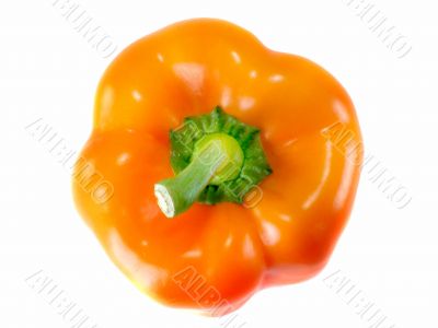 Orange Bell pepper