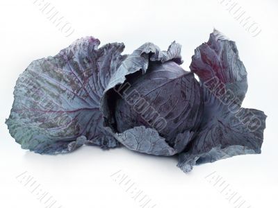 Red cabbage