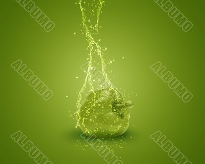 Fresh Green bell pepper