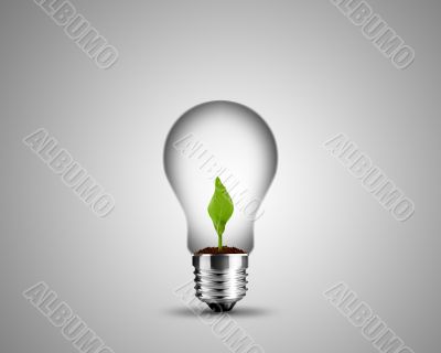light bulb concept