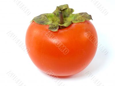 Persimmon