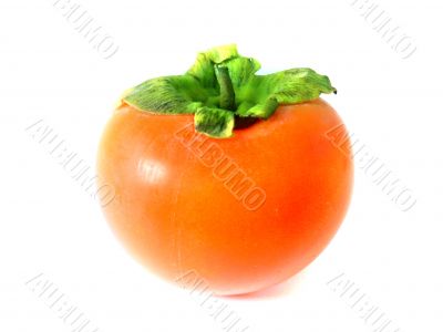 Persimmon