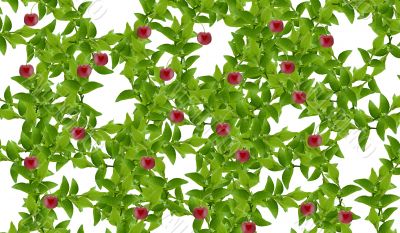 Green leaves