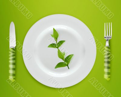 Diet Concept