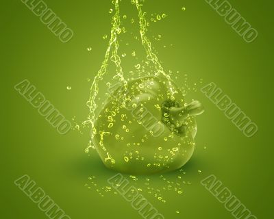 Fresh Green bell pepper