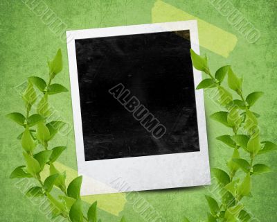  instant photo